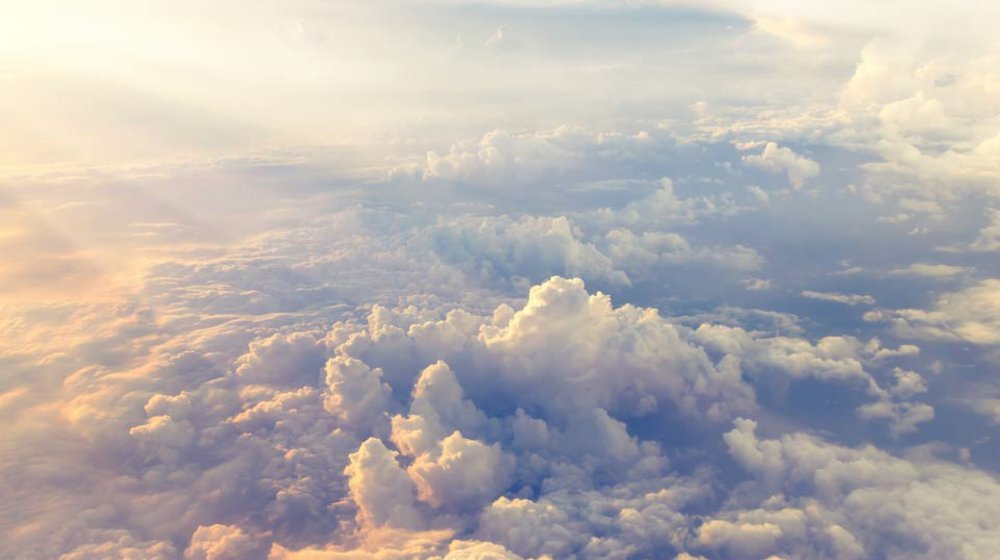 Обязательно прочитать!