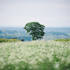 Весеннее замедление