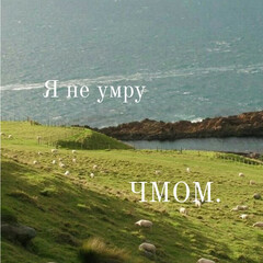Саморазвитие