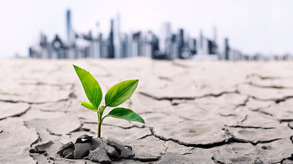 Синяя пирамидка