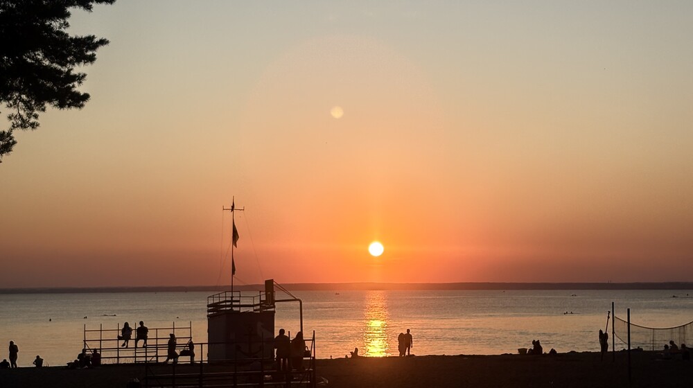 Любимые книги