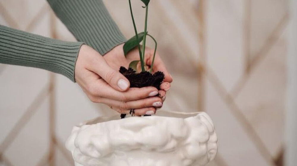 Психология