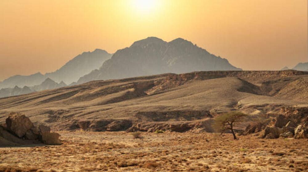 Chief Technology Officer (CTO)