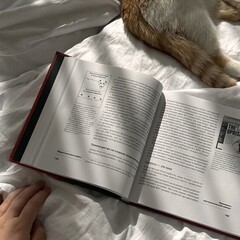 Хочется перечитать, но пока нет такой возможности