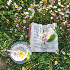 Летнее настроение 🌼