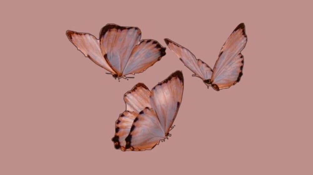 Читать для себя