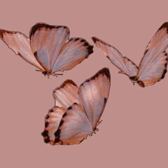 Читать для себя