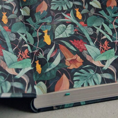 Знакомство с латиноамериканской литературой