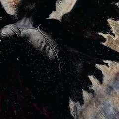 Les meilleurs maintenant