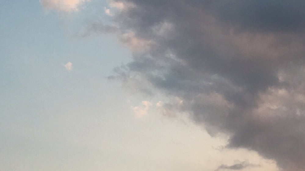 малые жанры. non fiction