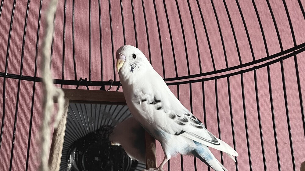 Почитаем с AI