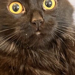 Для общения 