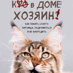 Дневник кота убийцы