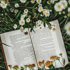 ☀️ Лето ☀️