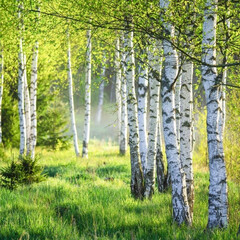 Читаем Россию