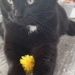 Чтение с ребенком 