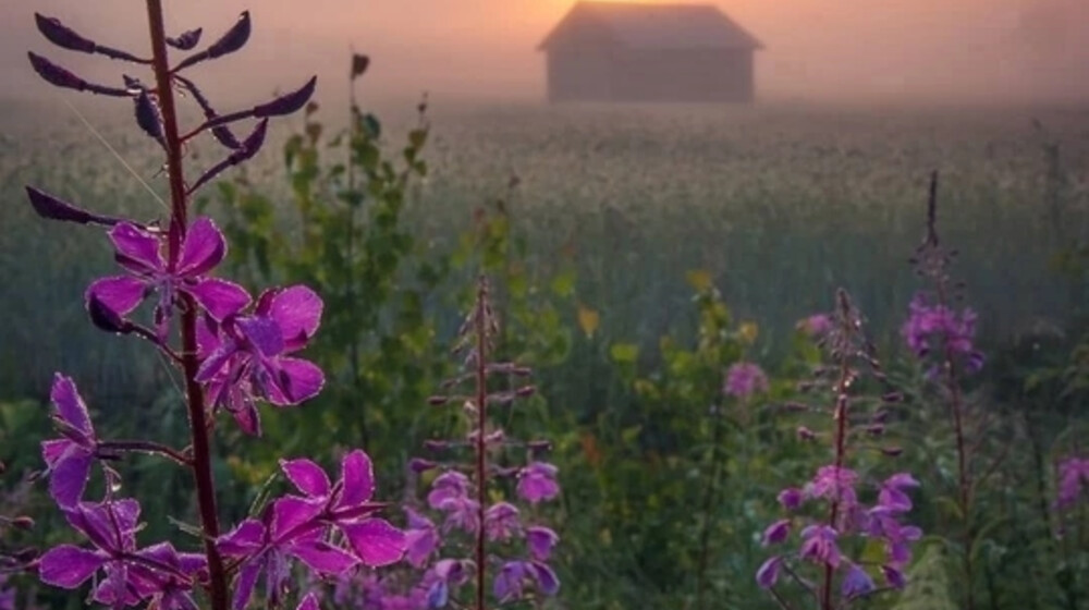 Красота/ здоровье