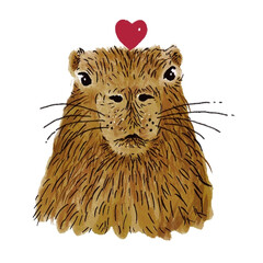 Новые книги