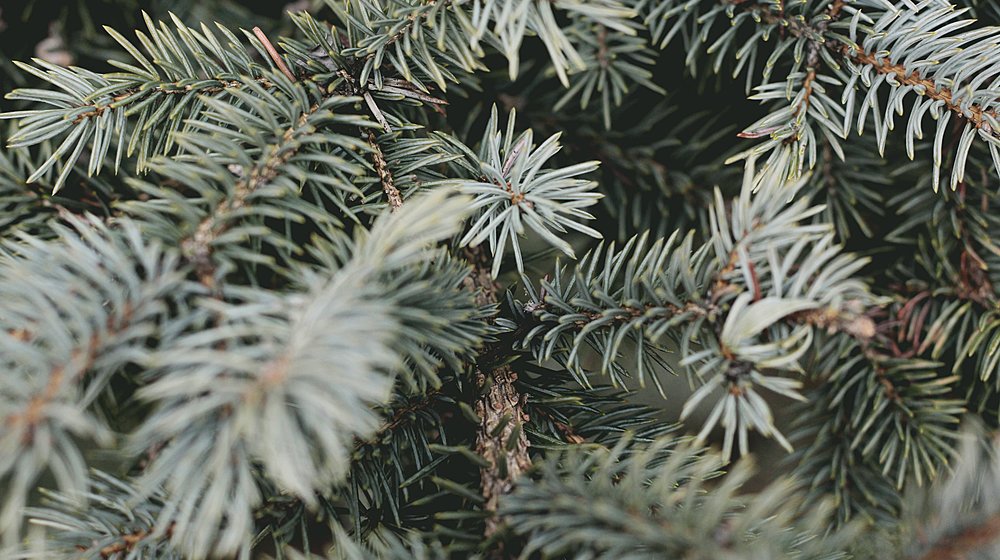 Зимняя подборка