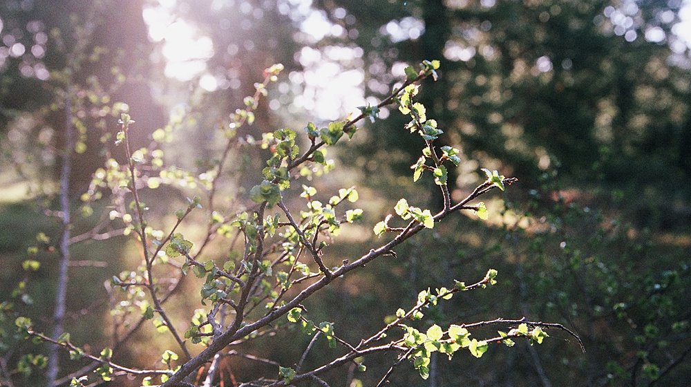 Самое долгое путешествие
