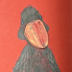 Non-fiction for kids