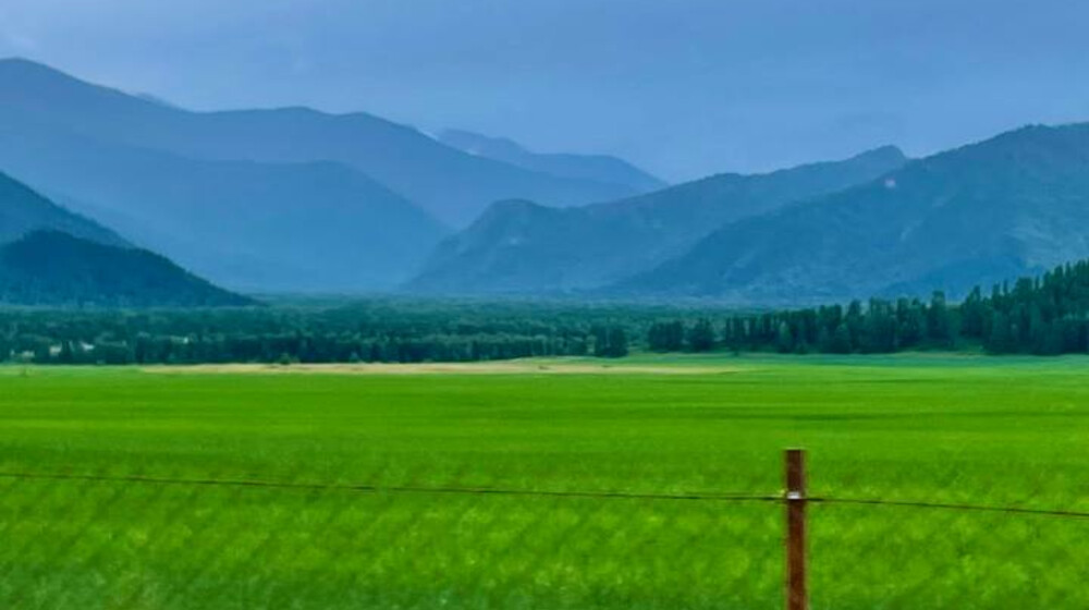 Романы фанта-фэнтези