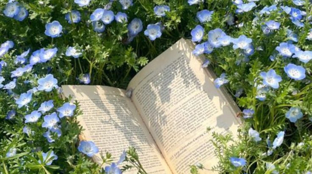 Планы на летнее чтение 2025