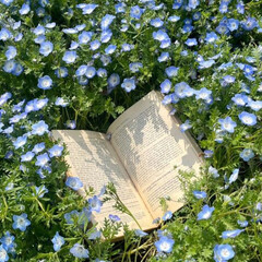 Планы на летнее чтение 2025