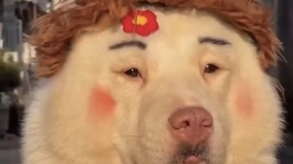 Уход за собой