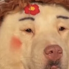 Уход за собой