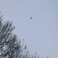 Смерть твой лучший друг