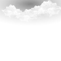 Новых Анастасия