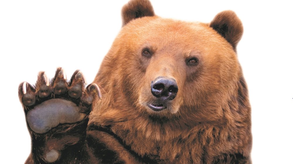 "Великий" и "могучий" для вас, как лес дремучий?