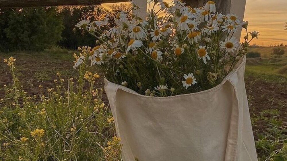 Издательский дом «Самокат»