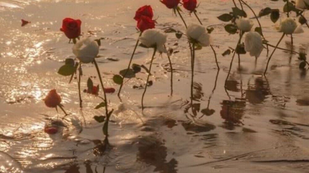 Типо блога )