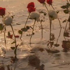 Типо блога )