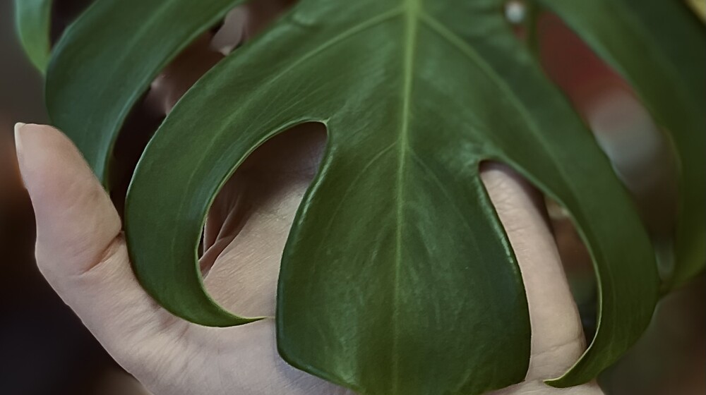 Психология 