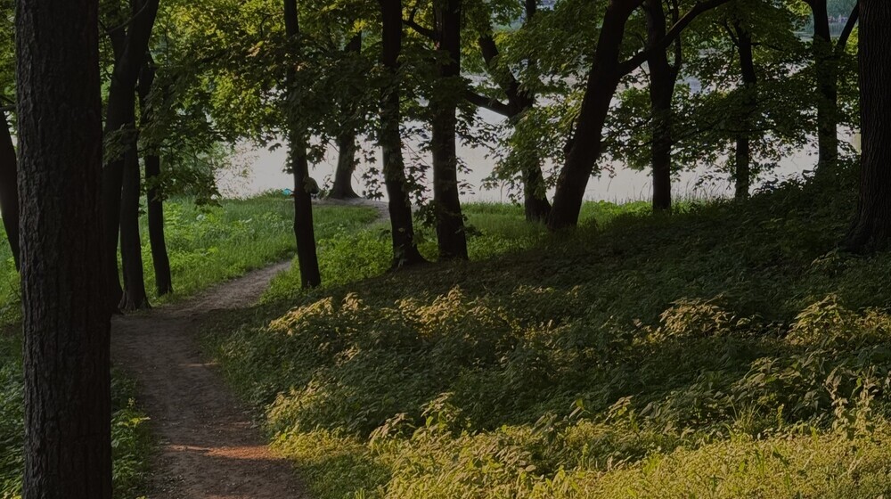 Полка психотерапии 