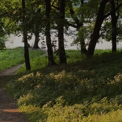 Полка психотерапии 