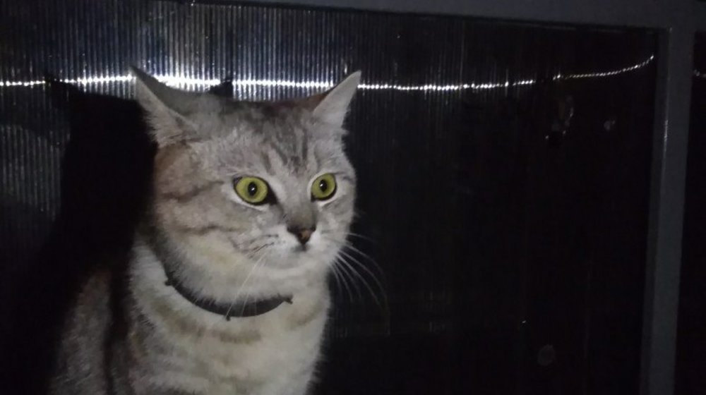 Разочарование...