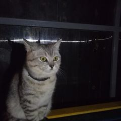 Разочарование...