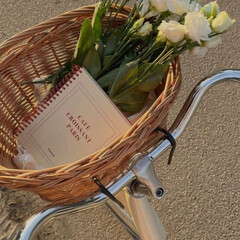 Афанасий Афанасьевич Фет