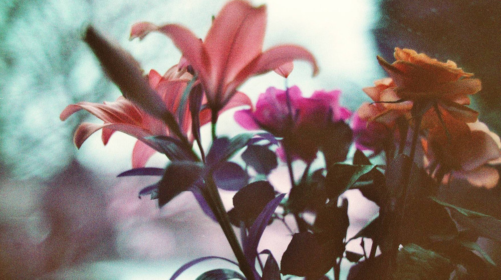 все песни только о любви