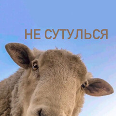 Очень интересные книги для детей   1