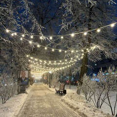 зима2024-2025: прочитанное