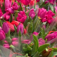 Легкие романы на вечер