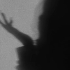 Что на полке?