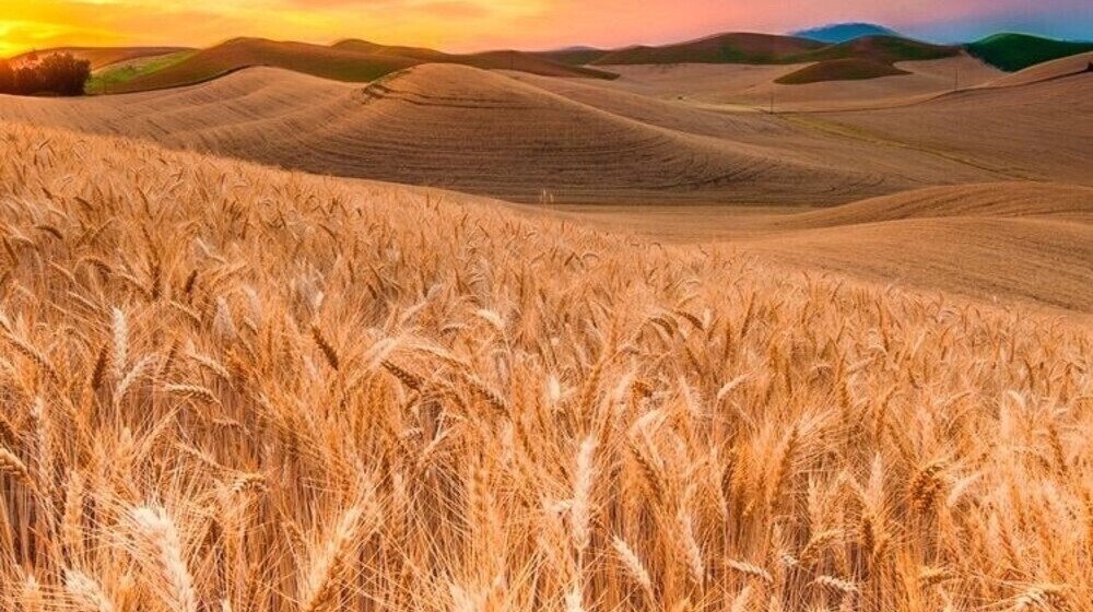 Стихотворно… 🤗