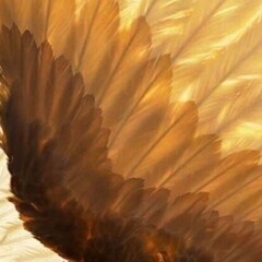 ретеллинги