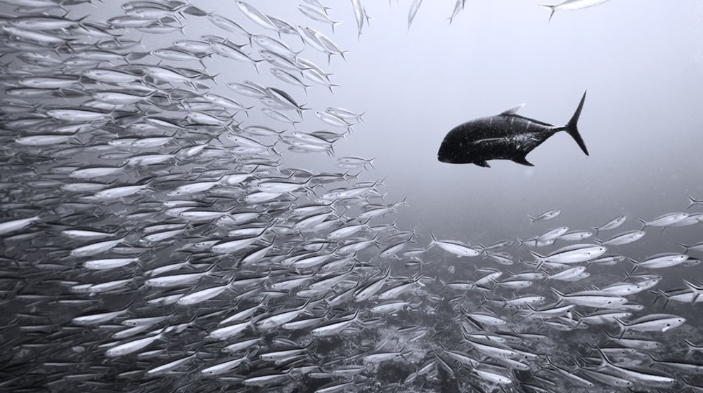 Мои аудиокниги